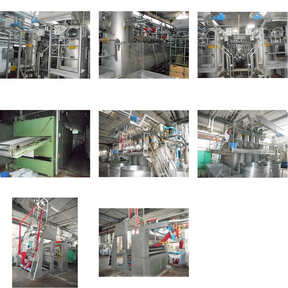 Brazzoli, Caber, Laip Fabric dye house 400 Kg