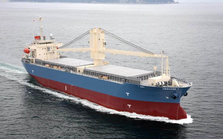 Honda Shipbuilding GENERAL CARGO SHIP (TWEEN DECKER) 13,000DWT