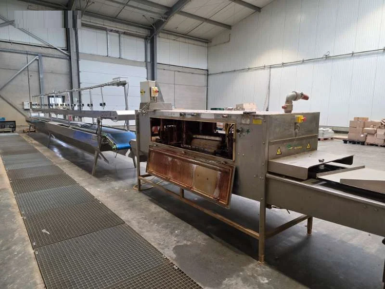 Christiaens 850-5000 Washing ,cutting and binding line for spring onions