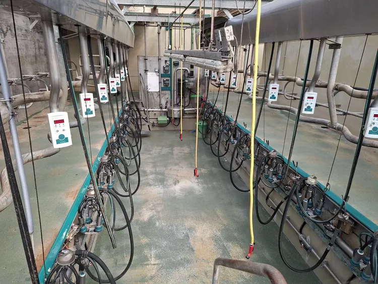 GEA 2x8 milking parlour