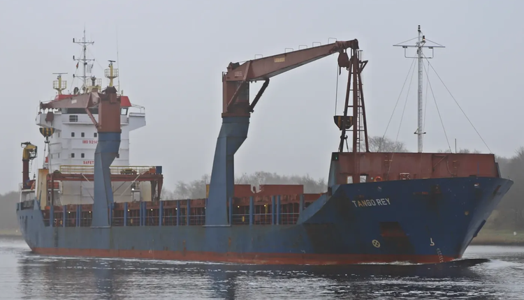 SCHEEPSWERF DAMEN TANGO REY ABT 8600 DWT ON 7.39 M DRAFT