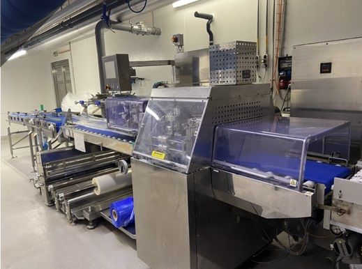 Fuji FW3710 BS/Ba7  Horizontal Flow Wrapper