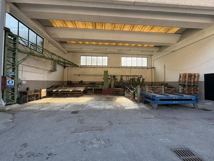 Primultini SE-CEA-IEA 1100 DX SAWMILL PLANT