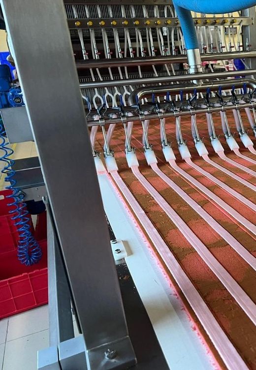 Swiss roll Layer cake line