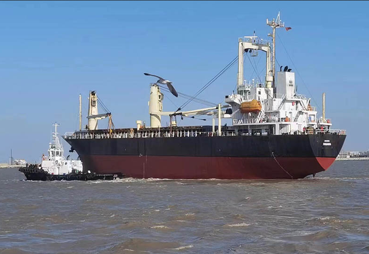 Higaki GENERAL CARGO SHIP ABT 9300DWT