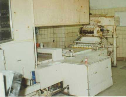Derby 8 rows Dough dividing and rounding machine