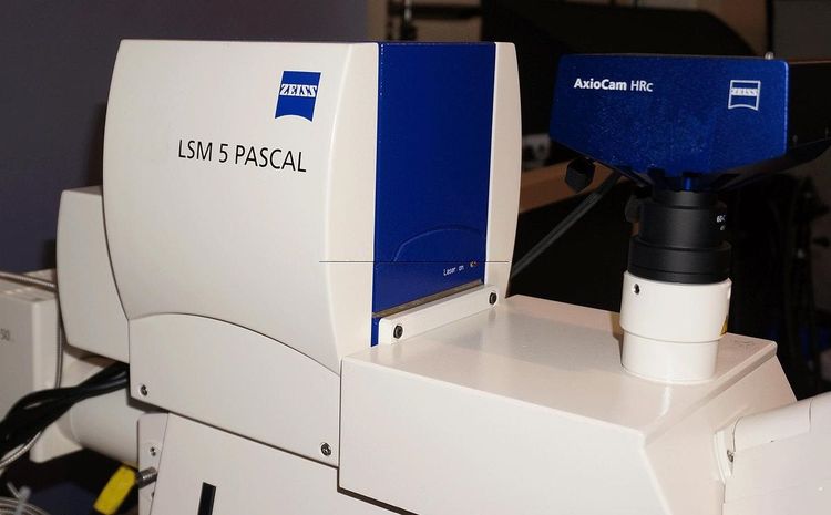 ZEISS LSM Pascal 5 Confocal Laser Scanning Microscope- VarioTwo UGB