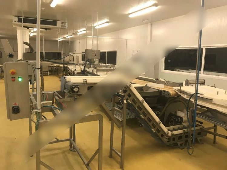 Carnitech Fish processing line for salmon