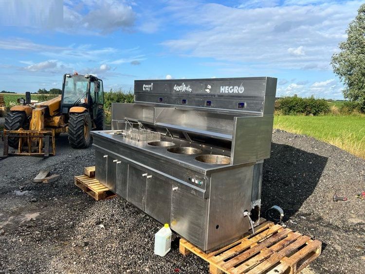 Professional gas fryer