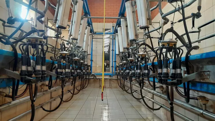 DeLaval 2x7 30° herringbone milking parlour