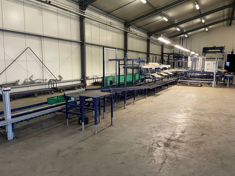 Koat vine tomatoes processing system