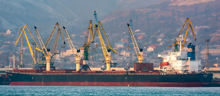 Tsuneishi HV ALICE ABT 52425 DWT ON 12.02 M DRAFT