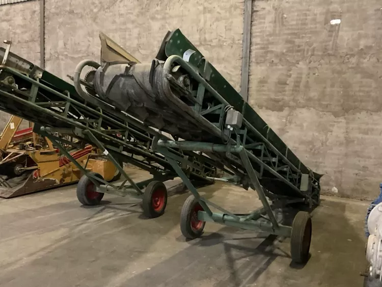 Onions optical sorting line (Edisam) and other high quality fruit and vegetables machines