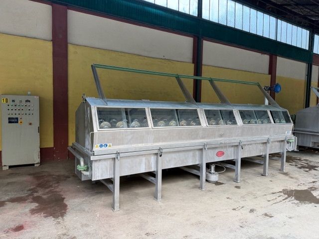 Mezzera Spray dyeing 100 kg