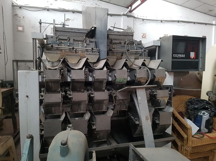 Pycmesa Multihead weigher and double bagging complete system