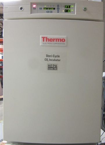 Thermo Forma Steri Cycle 370 CO2 Incubator