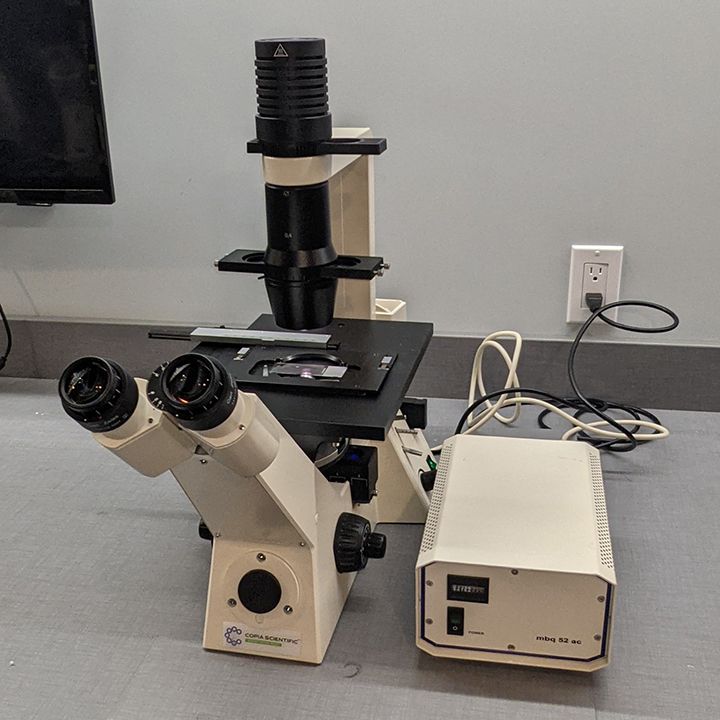 ZEISS Axiovert 40 CFL, Inverted Phase Contrast Fluorescence Trinocular Microscope