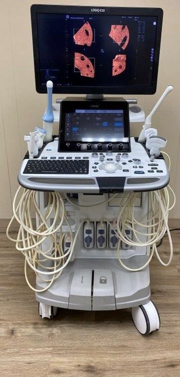 GE Logiq E10
