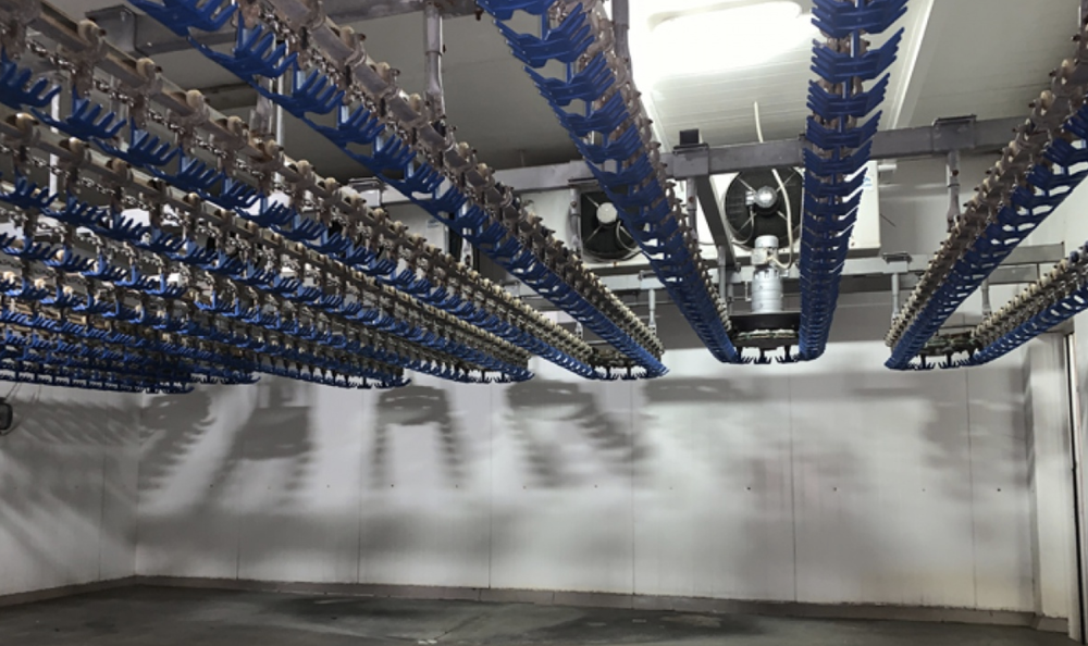 COMPLETE POULTRY PROCESSING PLANT