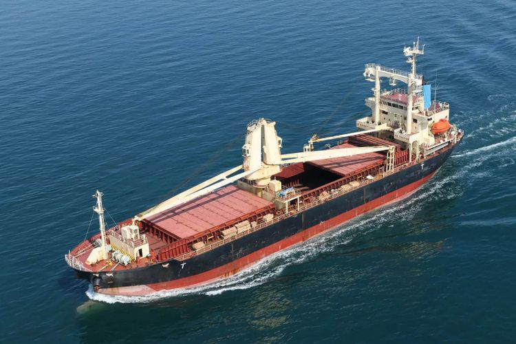 Sanuki GENERAL CARGO ABT 10,000DWT