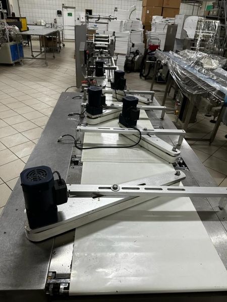 Horizontal packer machine