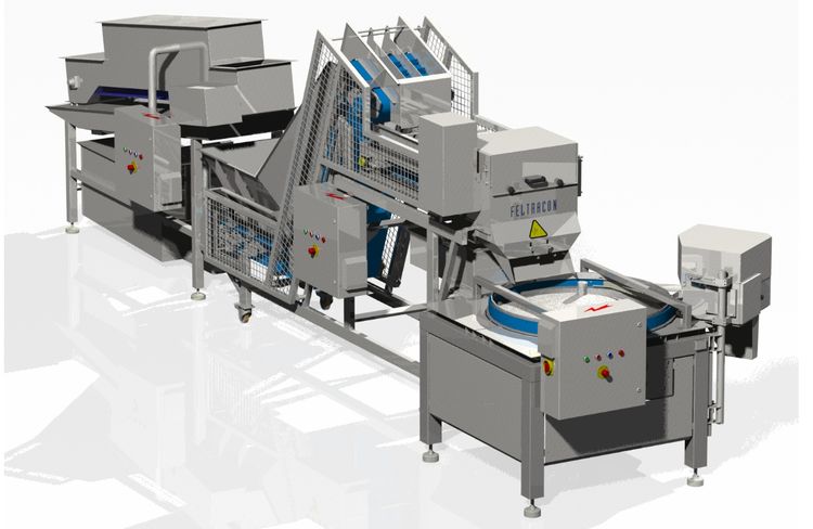 Feltracon FC3281-S03 LEMON PROCESSING AND SLICING LINE
