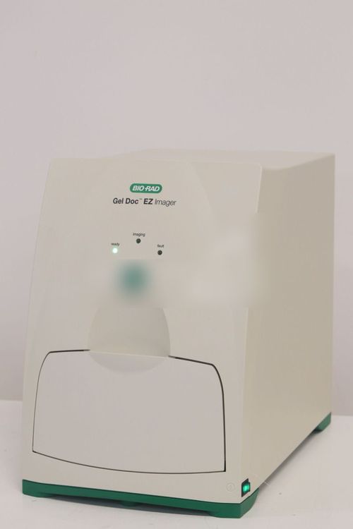Biorad Gel Doc EZ Imager
