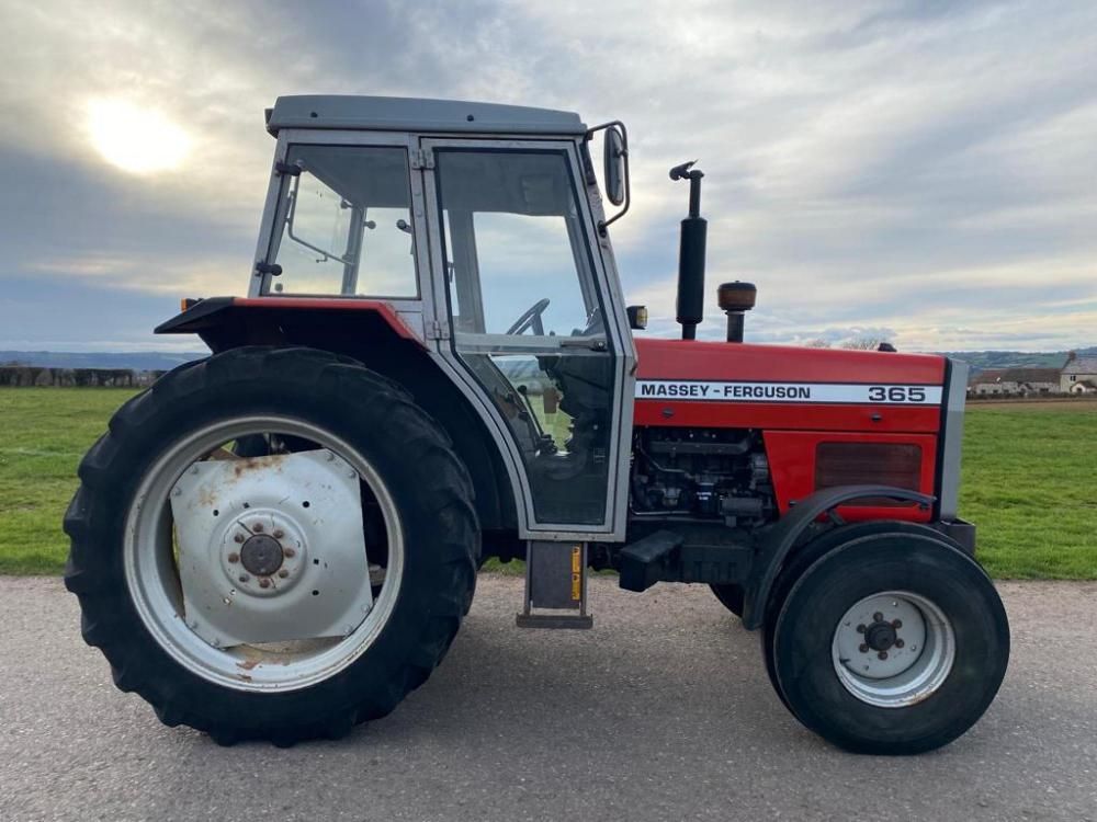 Massey Ferguson 365 Lo-Profile