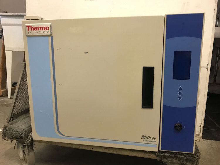 Thermo Scientific Midi 40 CO2 Incubator