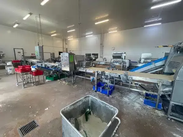 Fritsch Dough roll line