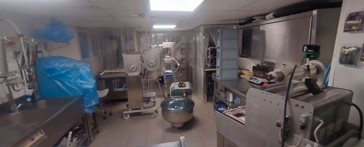 ravioli and fresh pasta production line