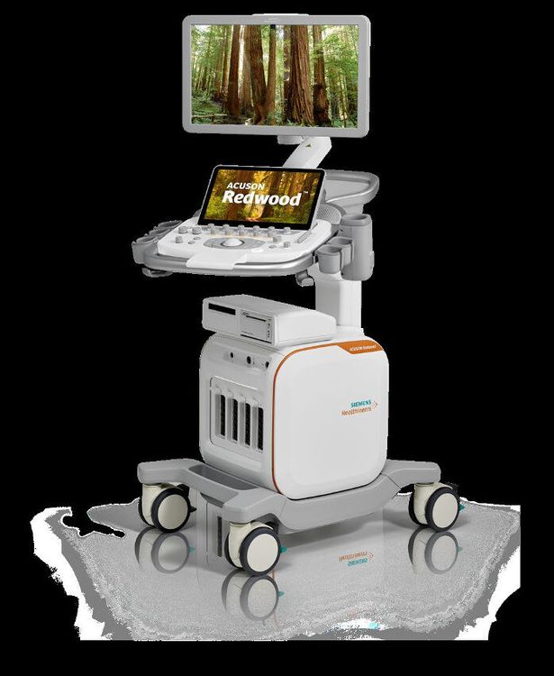Siemens ACUSON Redwood