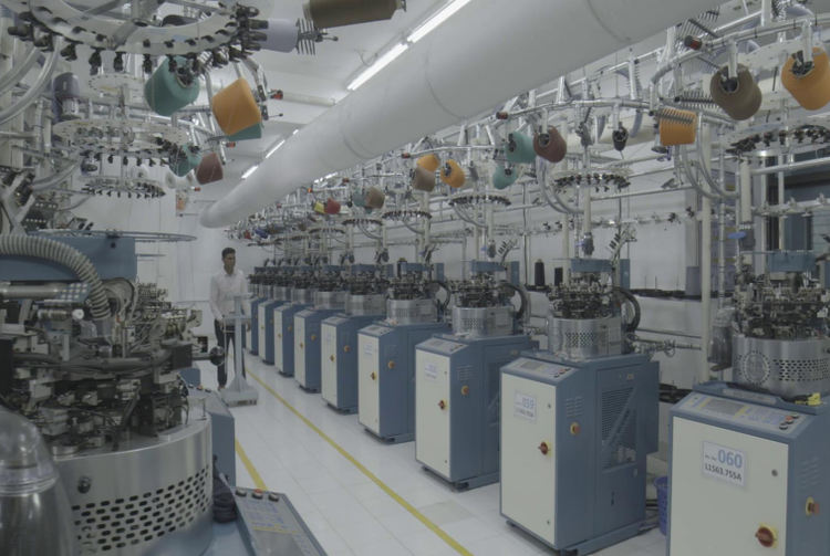 Busi Giovanni Sock knitting line 3 1/2", 3 3/4"