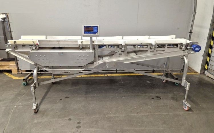 Marel Compact Grader Sorting system