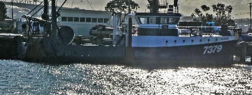 Damen Shipyards TRAWLER Gross Tonnage 156.7 T