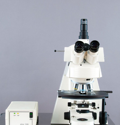 ZEISS Axioplan 2 Imaging Microscope