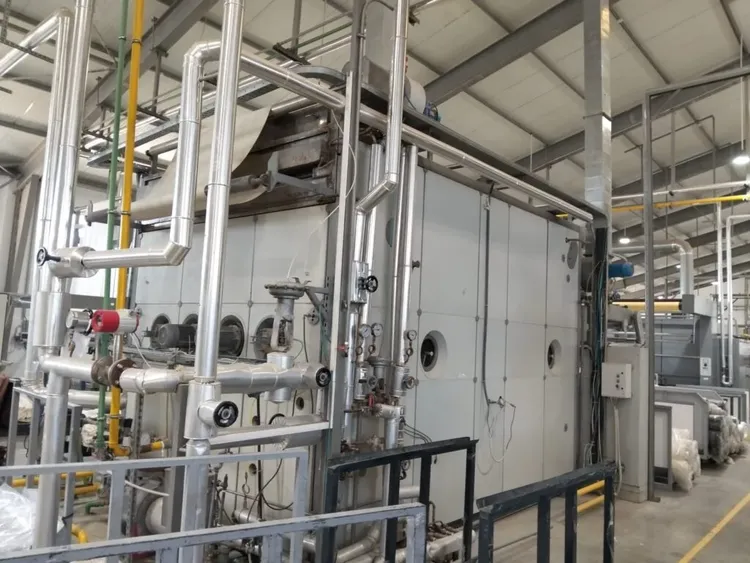 Arioli Vapo Steamer 260 Cm