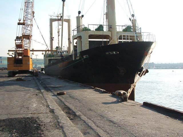 GENERAL CARGO SHIP ABT 2604DWT