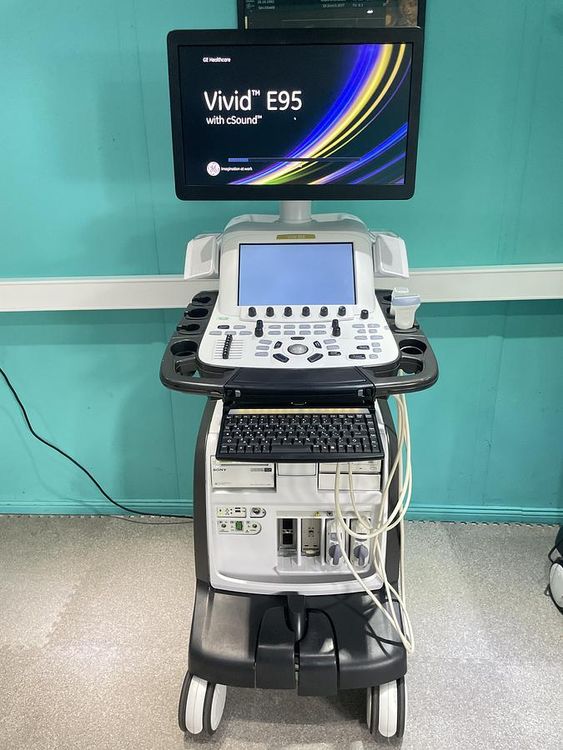 GE Vivid E95 v202