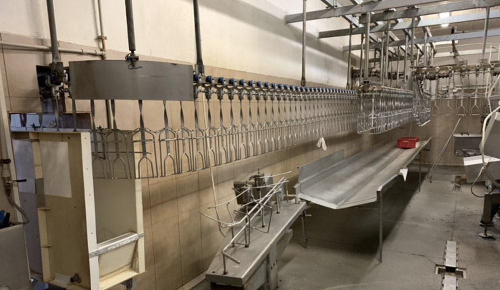 COMPLETE POULTRY PROCESSING PLANT