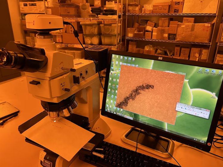 Nikon LV150 Microscope