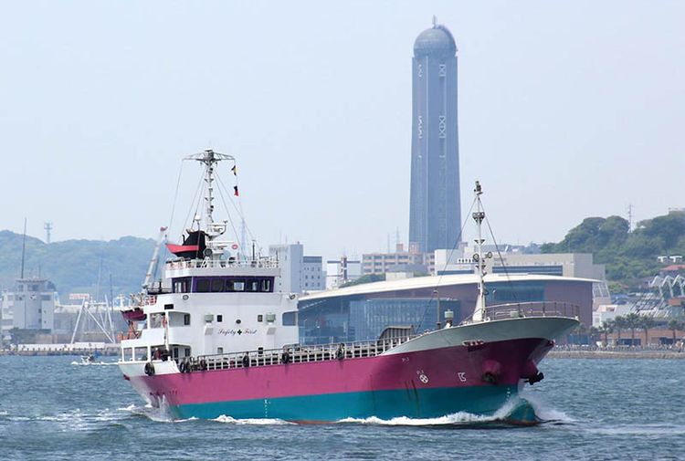 Kamishima Shipbuilding GENERAL CARGO SHIP ABT 730DWT