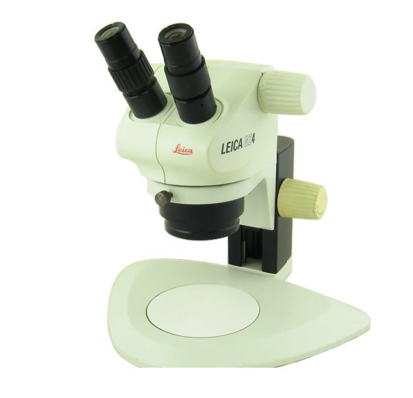 Leica GZ4 Stereo Zoom Microscope on Plain Focus Stand