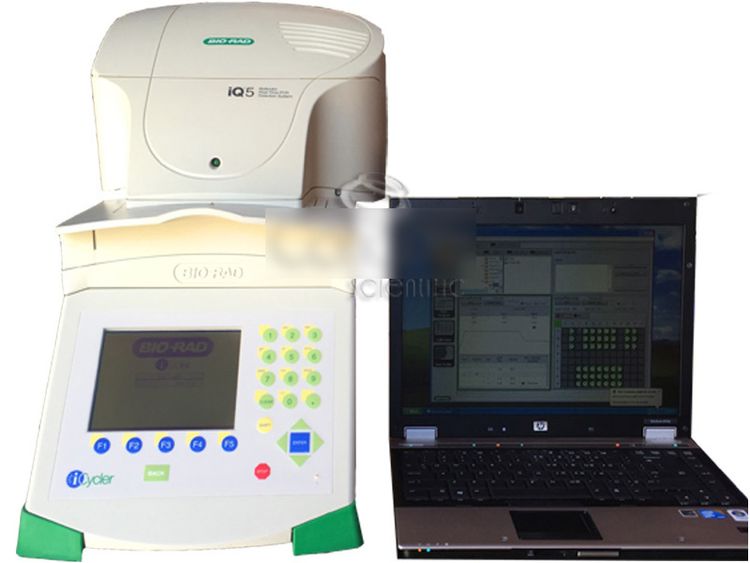 Biorad iQ5 Multicolor Real Time PCR Detection System