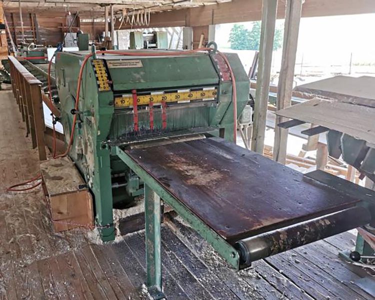 Esterer DKV/E-2B Hydr. Edging Saw Line