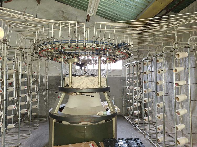 Mayer & Cie MBF II 30" 22E