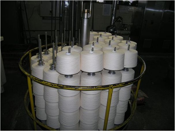 Others Loading and unloading device