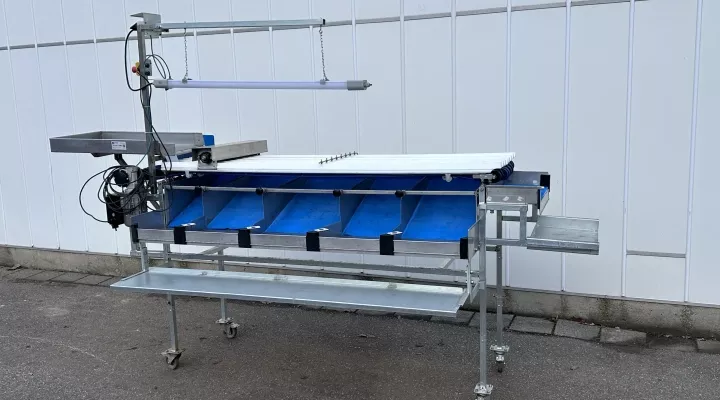 Siegwald Select cherry sorting machine