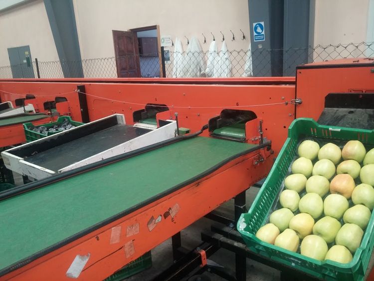 2  Perfect apple sorting machine
