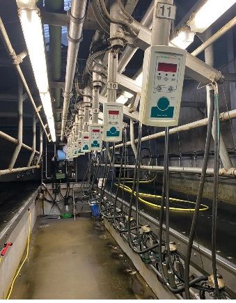 GEA 16 stands swing-over stand-alone milking parlour